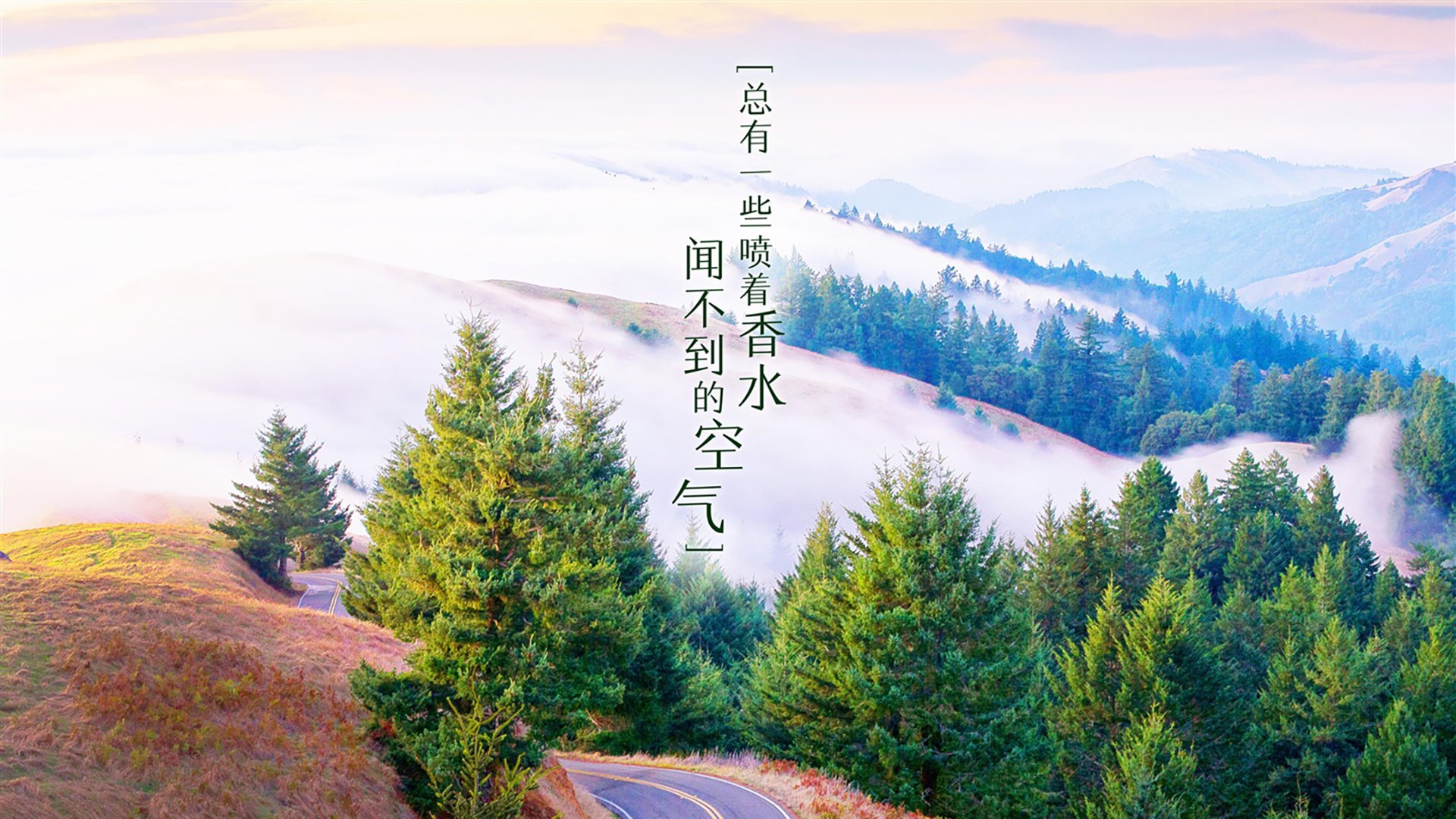 _凯尔特人上演精彩逆转，士气大振_，凯尔特人最新