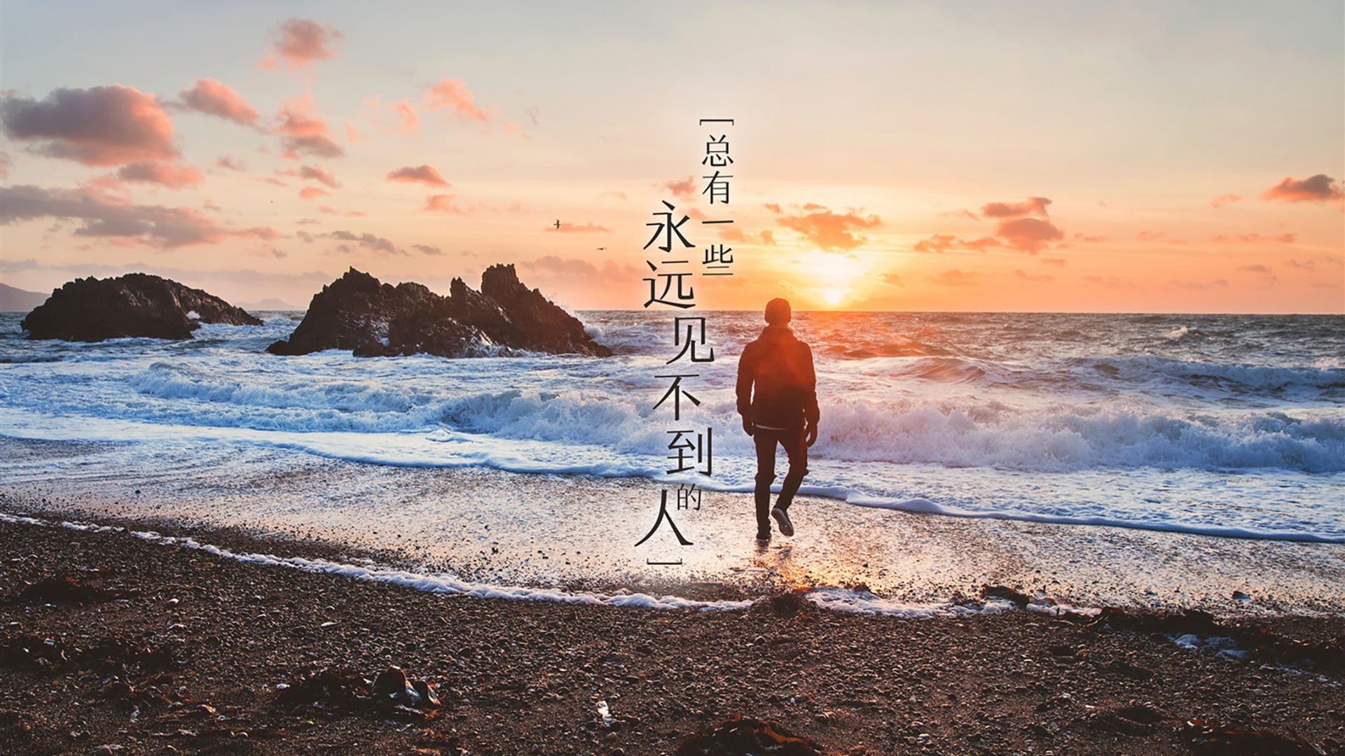 中国赛车手获世界耐力赛冠军，创历史新高，赛车耐力赛规则