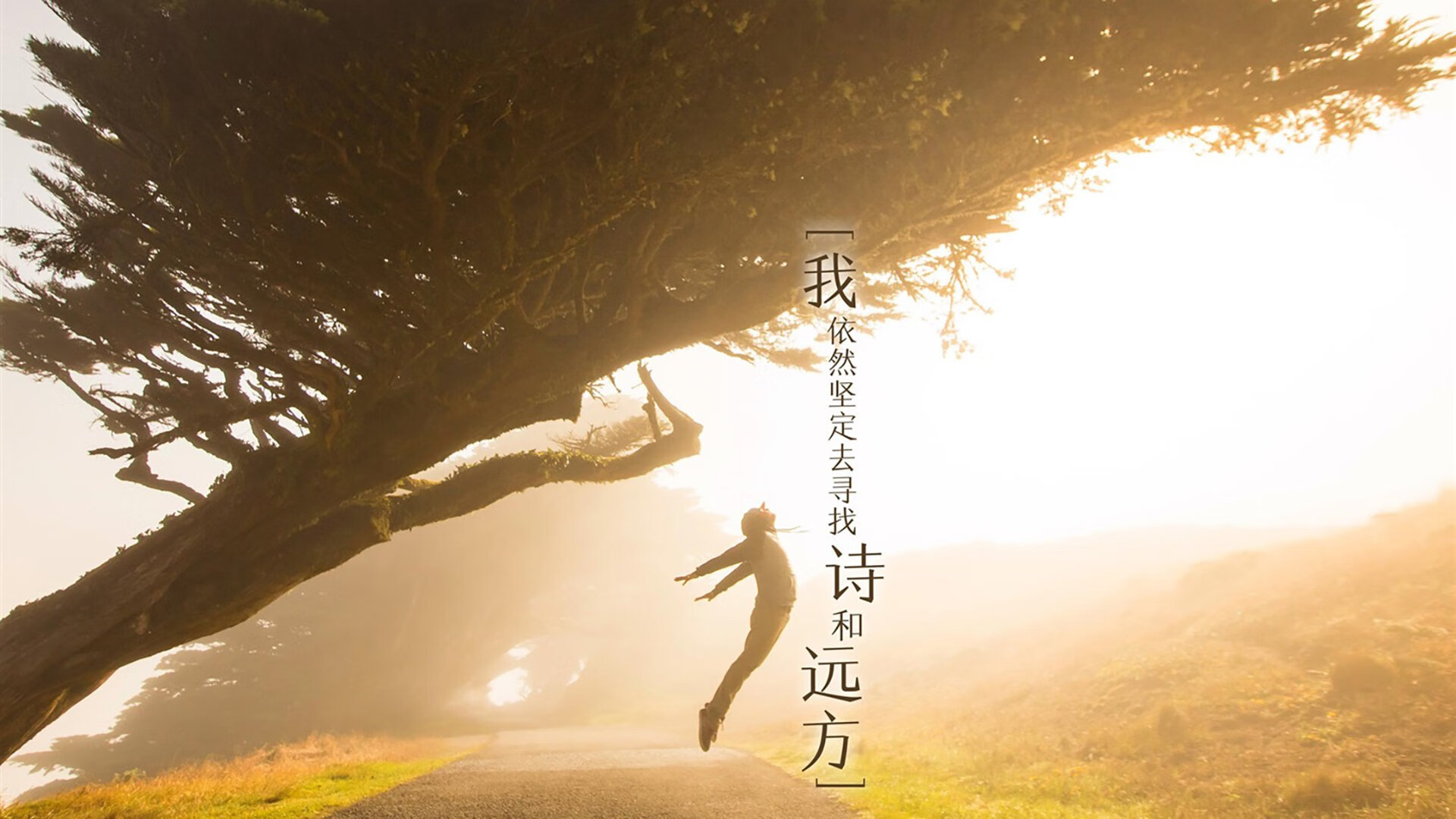 Chinese Taipei表现出色，2024年混合团体世界杯战况解析，2034世界杯