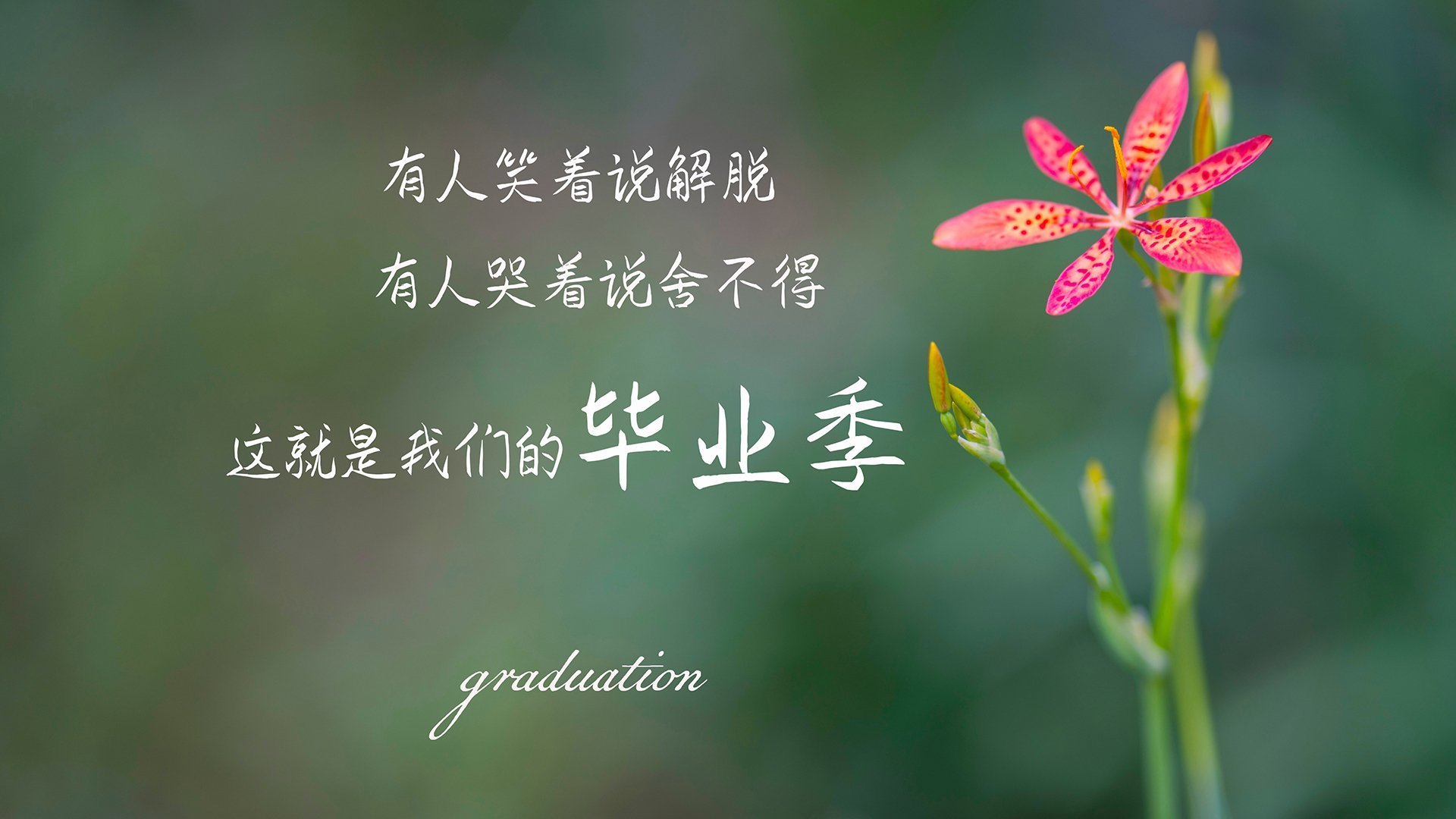 中国女篮攻防两端表现均衡 球队整体实力提升,中国女篮真棒