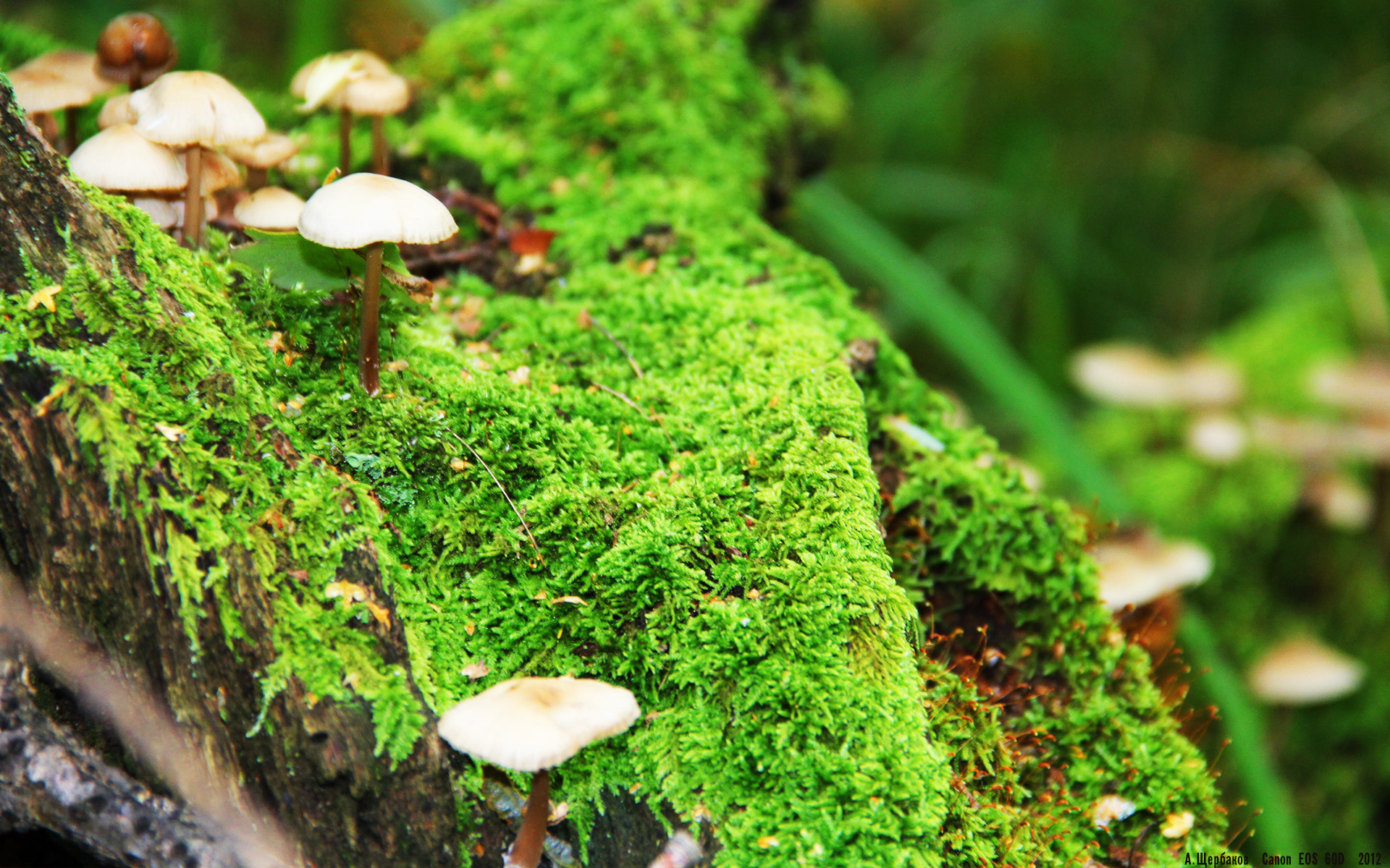 中国篮球冲奥之路背后隐藏多少辛酸与坚持,中国奥运篮球比赛