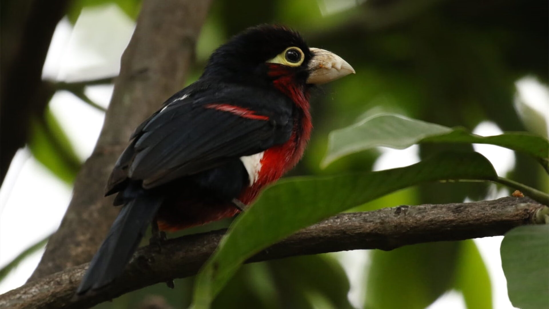 体育新闻中心上线体育赛事热点舆情智能预警系统，体育新闻资讯