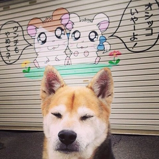 体育新闻中心构建体育媒体数字资产管理体系，体育产业新闻