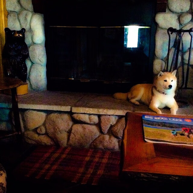 中乙俱乐部布局球迷社群平台加强情感链接建设，中乙足球俱乐部