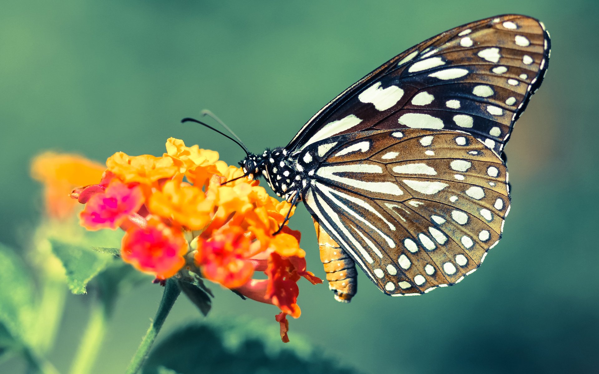 中国足球青少年比赛引入多维度表现报告系统，中国青少年足球发展路径选择