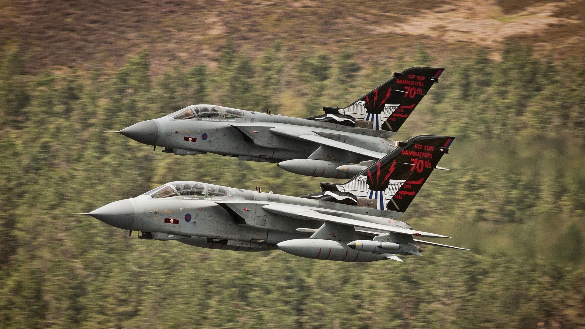 九游用户空间-南非橄榄球赛事观众持续增加，品牌价值日益增强，南非 橄榄球