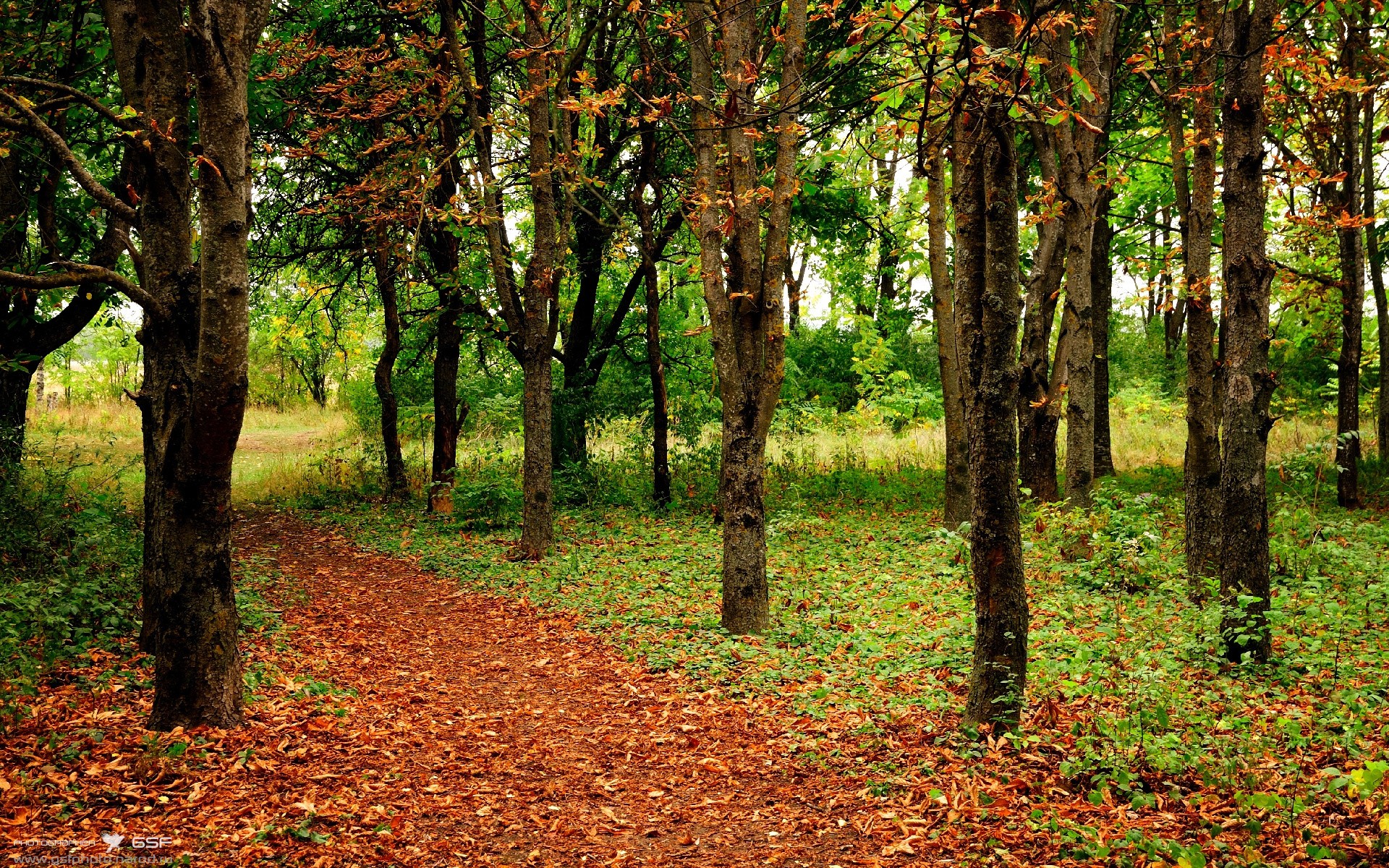 女子国家队打造多位置球员计划提升战术灵活性,女子国家队篮球队员