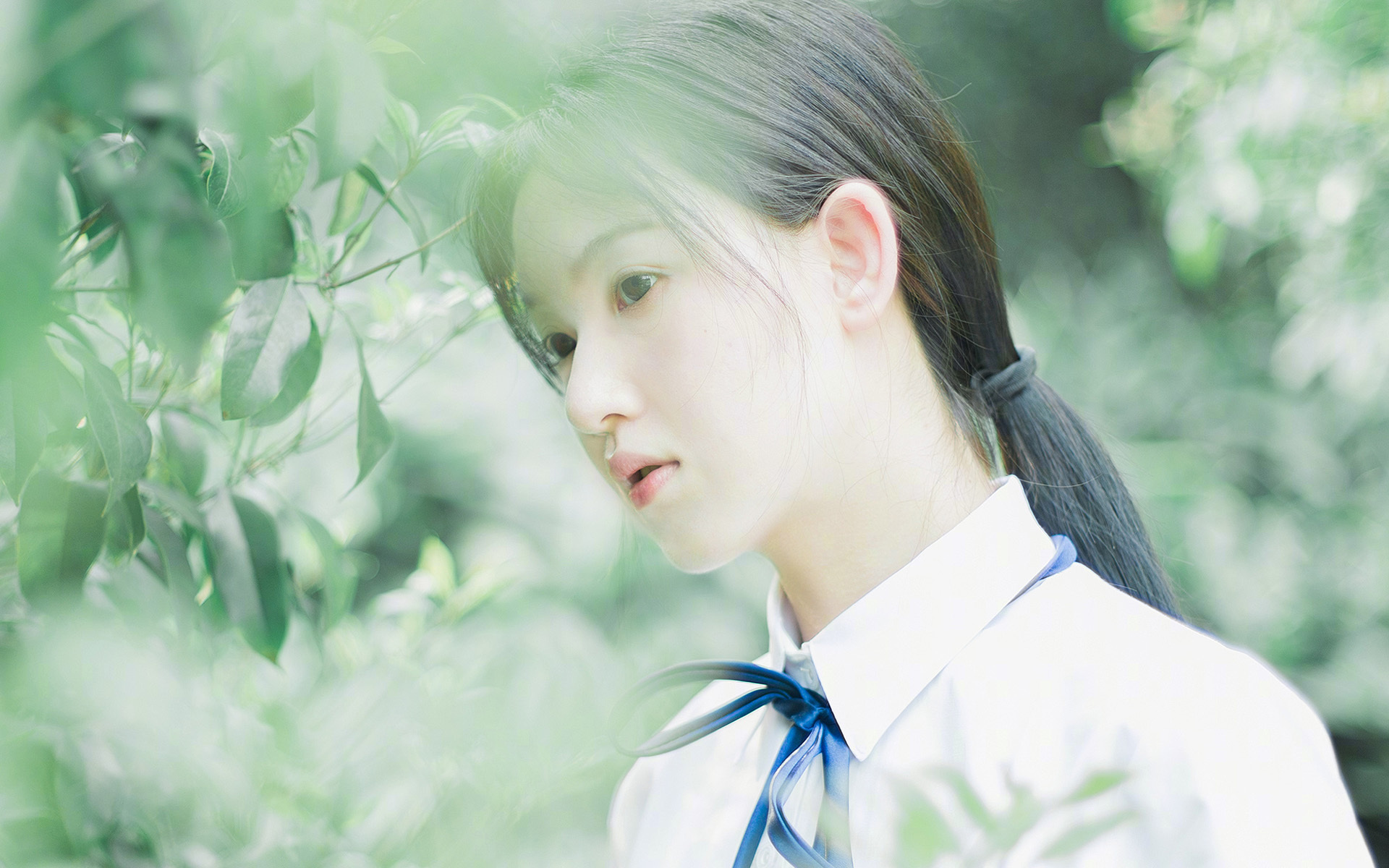 希腊女队自由泳爆发力惊艳全场，希腊女子花样游泳队