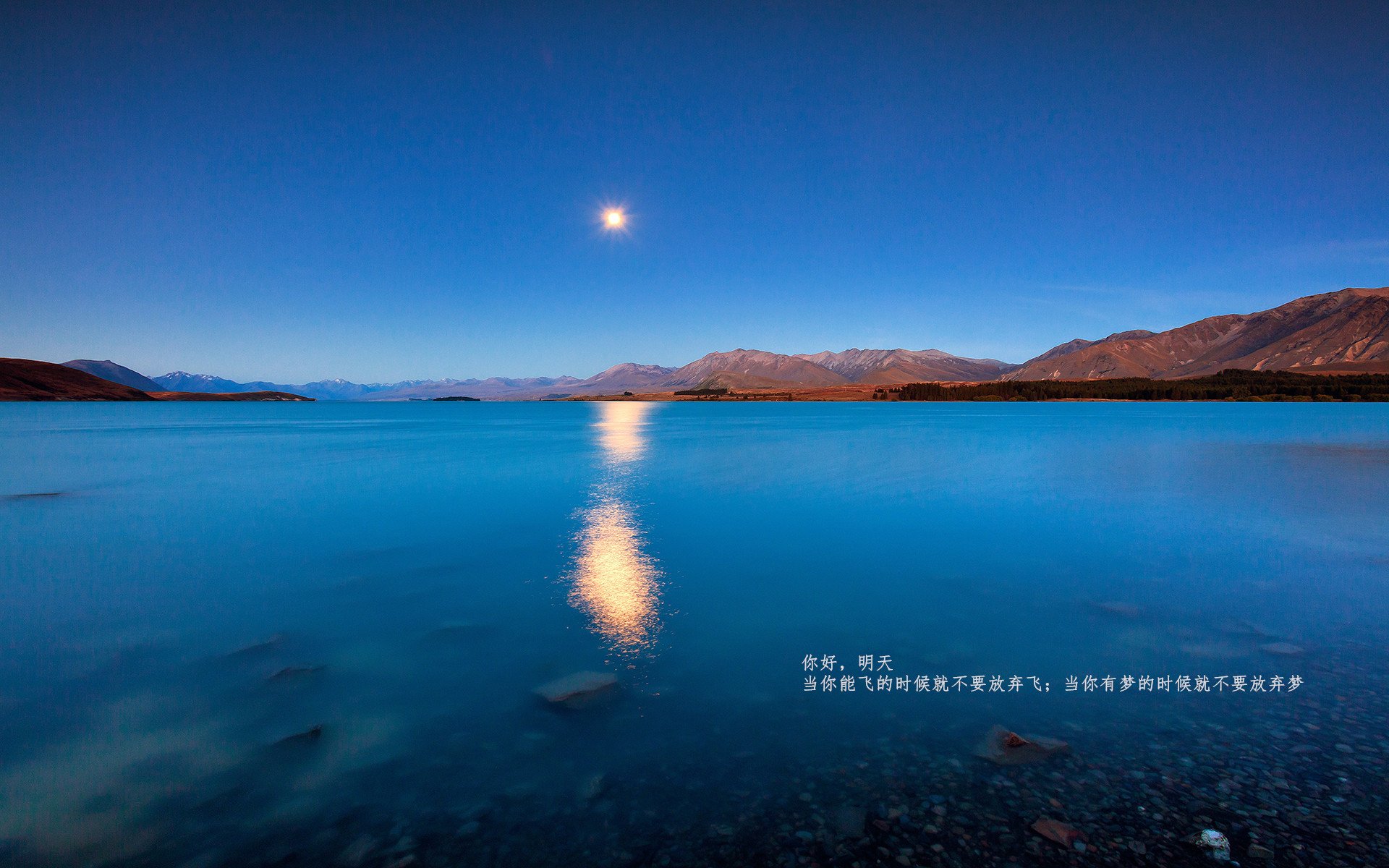 男子篮球培训注重快速反应与决策能力培养,男孩篮球训练