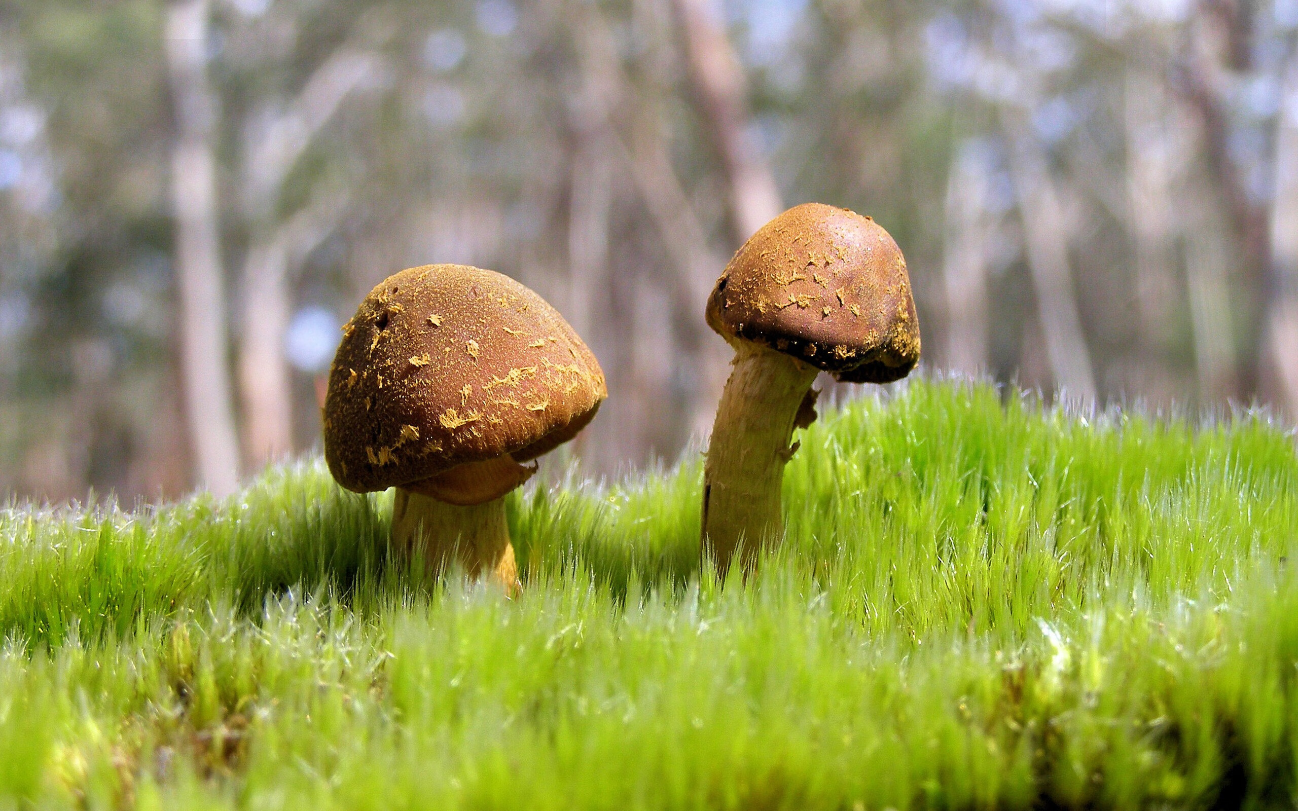 九游下载中心-青训重点学校评选标准发布鼓励教学训练并重，青训训练内容